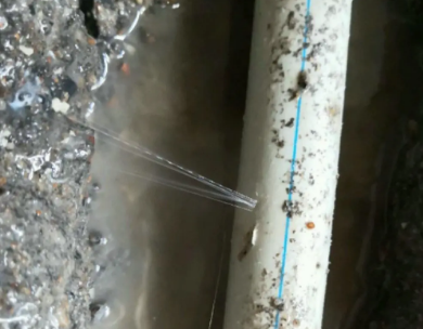 淄川测漏水哪家好