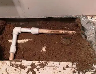 淄川测漏水哪家好