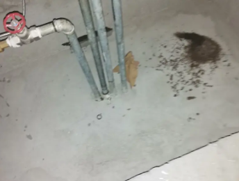 淄川卫生间测漏水价格明细