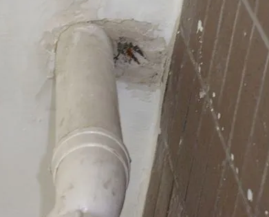 淄川漏水检测哪家好